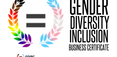 Our Gender Diversity and Inclusion Journey 