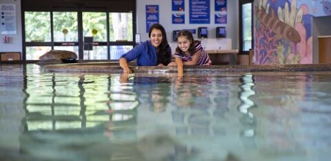 Empowering the Next Generation: The Critical Role of Mentorship in the LatinX Community