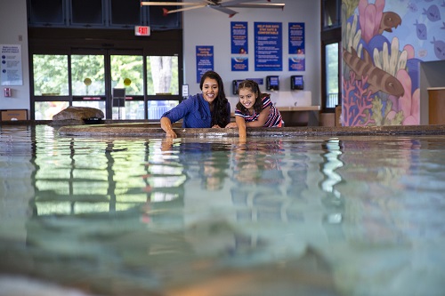Empowering the Next Generation: The Critical Role of Mentorship in the LatinX Community